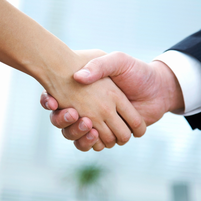 Management diversity, independence and competence